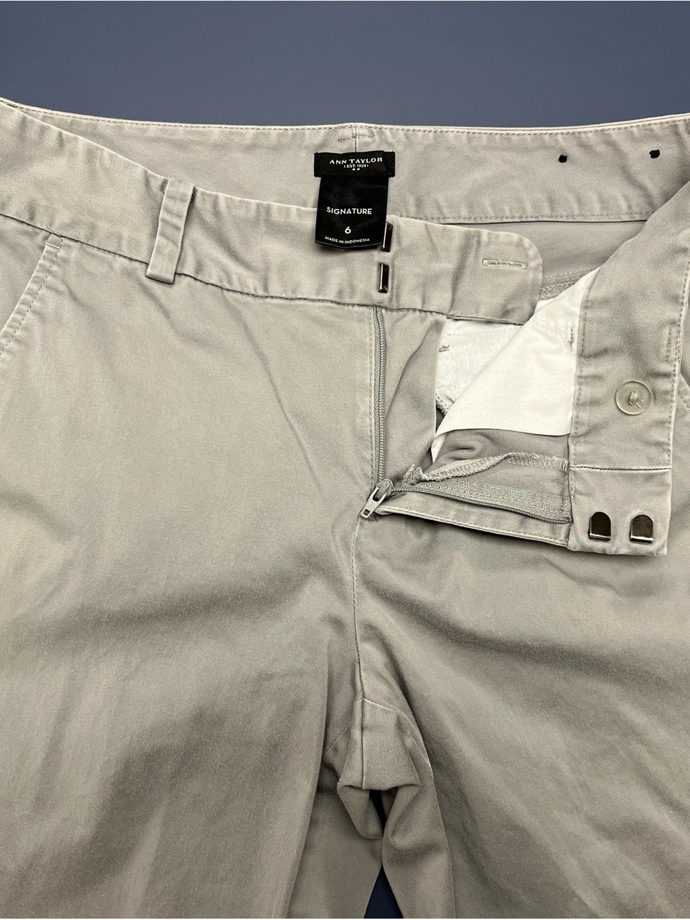 Ann Taylor Light Gray Signature Chino Pants